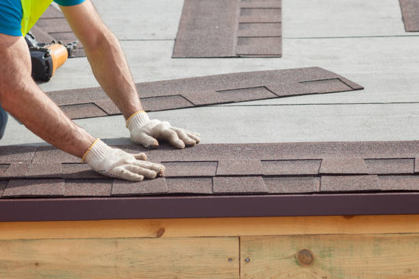 Best Roof Moss and Algae Removal  in Oak Brook, IL